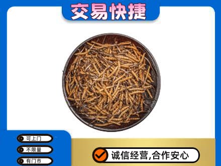 大同回收散虫草